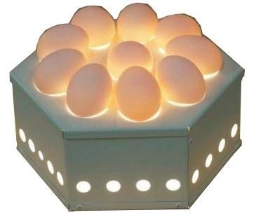 Овоскоп ITERMA EGG10 fedosline
