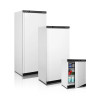 Шкаф холодильный с глухой дверью Tefcold UR200 fedosline