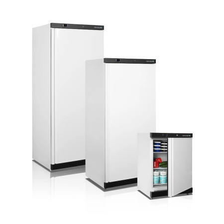 Шкаф холодильный с глухой дверью Tefcold UR200 fedosline