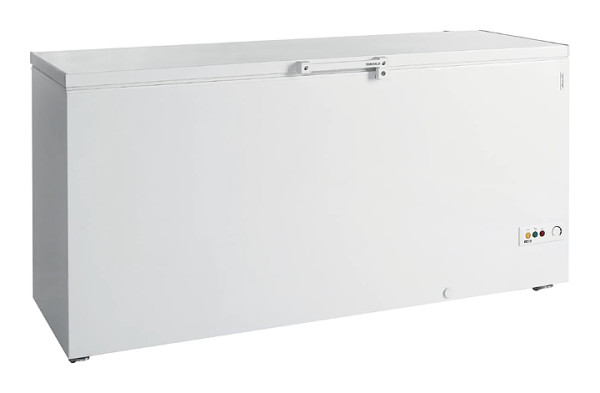 Ларь морозильный с белой крышкой Tefcold FR605 SL