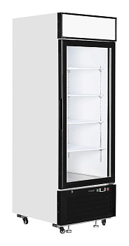 Шкаф морозильный со стеклом TEFCOLD LGF2500