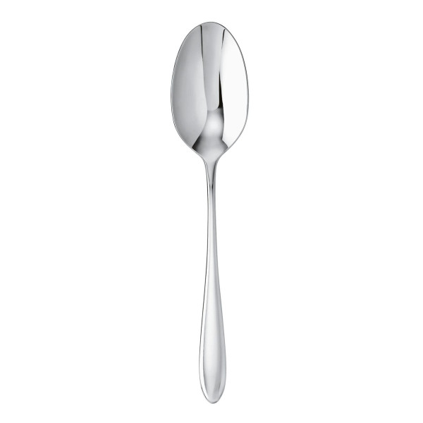 Ложка столовая SAMBONET DREAM 20,5 CM 52515-01